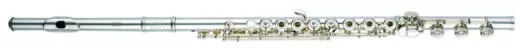 Haynes Flutes - Custom Solid Silver Flute